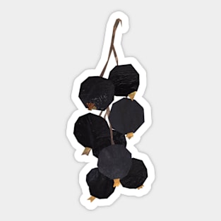 blackcurrants Sticker